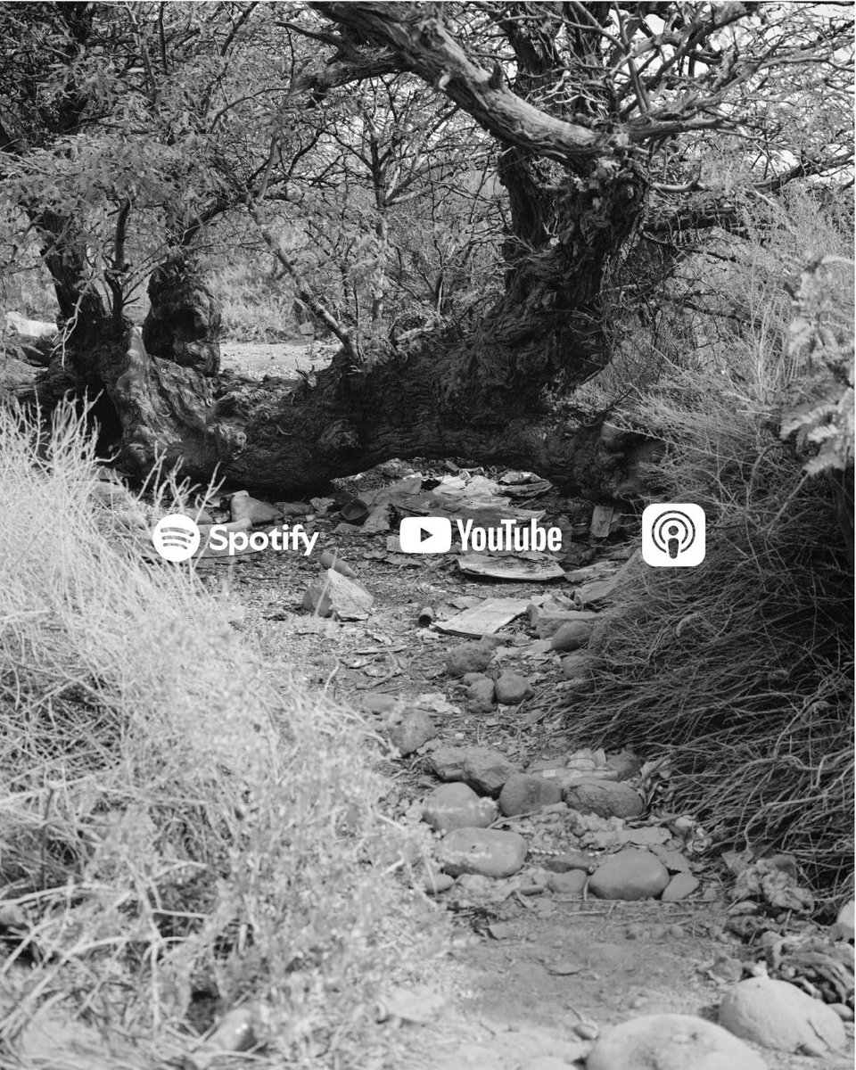 letargoed's tweet image. LTRGO PODCAST | TEMPORADA 5

En este capítulo nuevo conversamos con el fotógrafo y diseñador Cristian Ordoñez. Su trabajo es un diálogo entre la fotografía, el diseño gráfico y el material impreso. 

🎧: bit.ly/45JW0KS