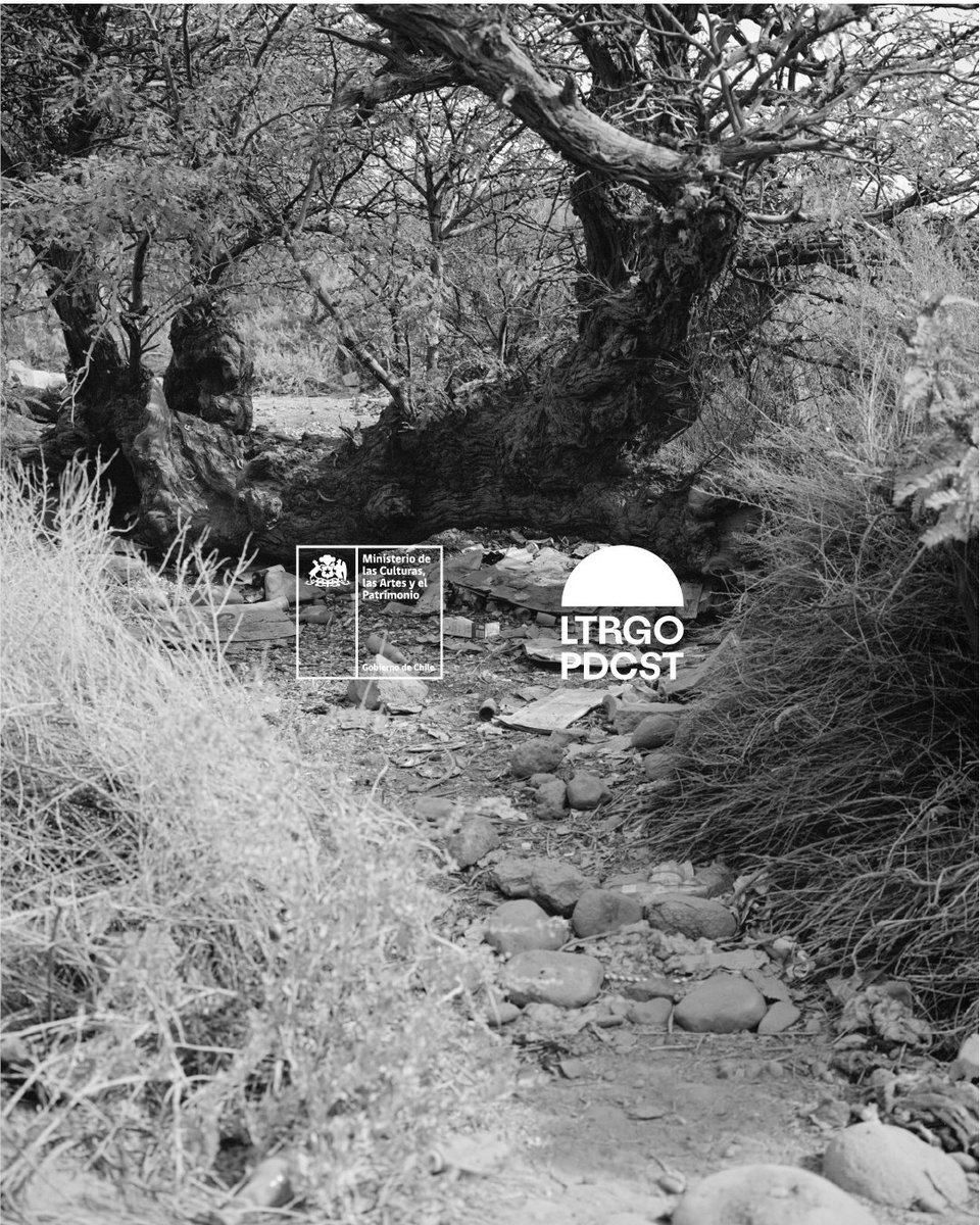 letargoed's tweet image. LTRGO PODCAST | TEMPORADA 5

En este capítulo nuevo conversamos con el fotógrafo y diseñador Cristian Ordoñez. Su trabajo es un diálogo entre la fotografía, el diseño gráfico y el material impreso. 

🎧: bit.ly/45JW0KS