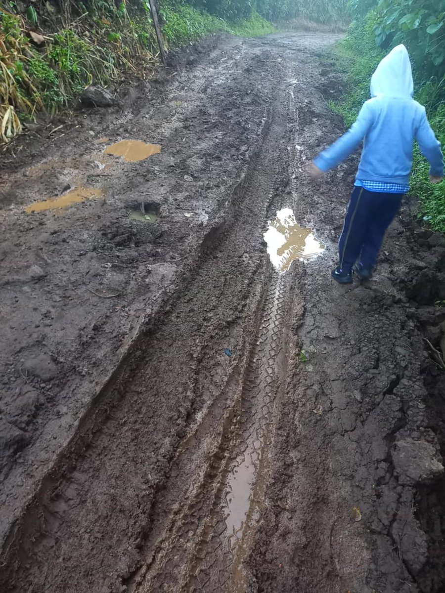 Pedimos ayuda, como nuestros niños pueden ir presentables si así las condiciones de las calles en granadillas y el triunfo en la libertad sur, Santa Tecla.
Muchos caminan hasta 3km para llegar a la escuela.