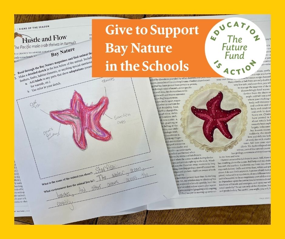Bay Nature magazine tweet media