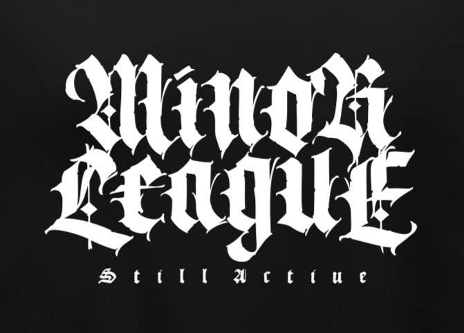 来年マイナーリーグ30周年だがや