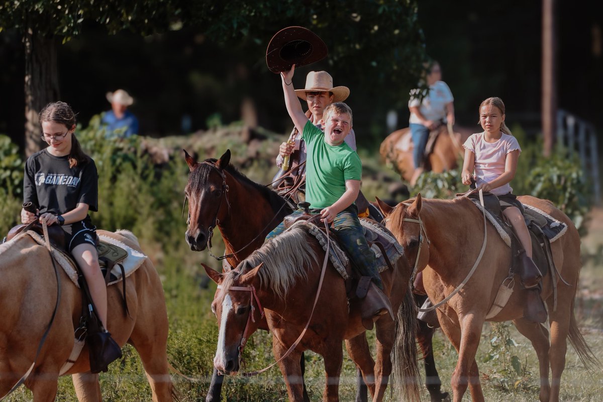 BillRiceRanch's tweet photo. We are in need of 5-7 well-trained, quarter horse type horses. We prefer horses that are 5 to 12 year old mares or geldings that are neck reined and beginner safe. If you or anyone you know has a horse like this please email Michael Aulgur at maulgur@billriceranch.org. https://t.co/yYrD1tq4dc