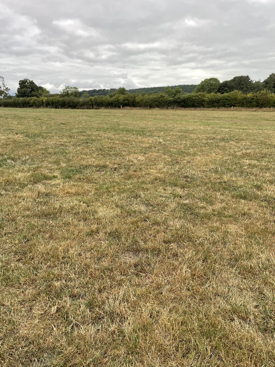 Rob Shine tweet media