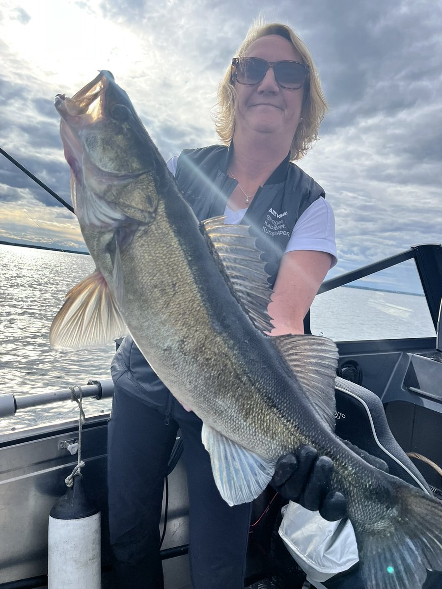 Patte74's tweet photo. Fin Gös idag, fick dock återgå till livet i sjön. Tack Kapten för roligt fiske 🤩 https://t.co/4OiRjzRVMp