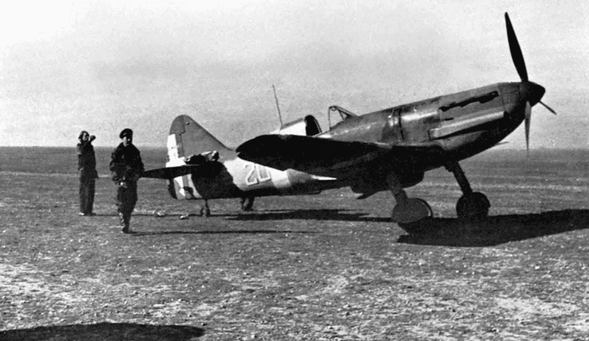 sentandoapua's tweet photo. Caça italiano Dewoitine D. 520
#aviação #militar #historia #WWII #AviaçãoDeCaça #Itália #D520 https://t.co/hqJA6ElVFe