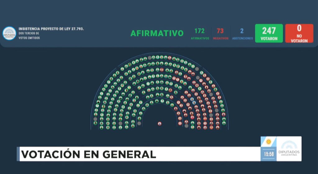 DIPUTADOS. Rechazado por más de dos tercios el veto de Milei a la emergencia en discapacidad. 172 votos a favor, 73 en contra y 2 abstenciones.
