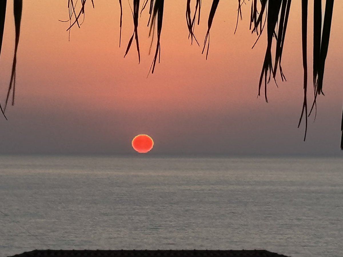 RitaWallace_'s tweet photo. #cyprus2025 #summerholidays #sunset #pool #palmtrees #freedomvilla #argaka #beautiful #makingmemories #travelphotography https://t.co/ljpCDmDHoc