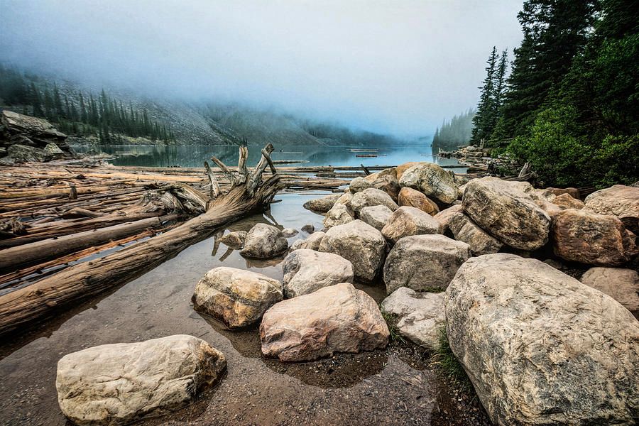 Joan Carroll (@joancarroll) on Twitter photo Logs And Boulders Moraine Lake Banff II buff.ly/RgMxZtN #Banff #NationalPark #Alberta #Canada #lake #moraine #foggy #armchairtravel <a href="/joancarroll/">Joan Carroll</a> Logs And Boulders Moraine Lake Banff II buff.ly/RgMxZtN #Banff #NationalPark #Alberta #Canada #lake #moraine #foggy #armchairtravel <a href="/joancarroll/">Joan Carroll</a>