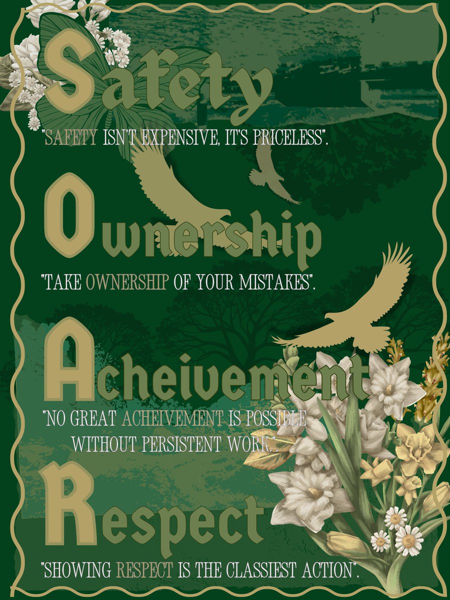 Cy Falls Media tweet media