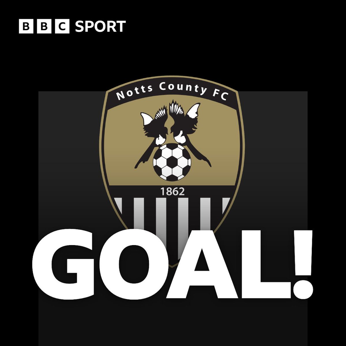 BBC Sport Shropshire tweet media