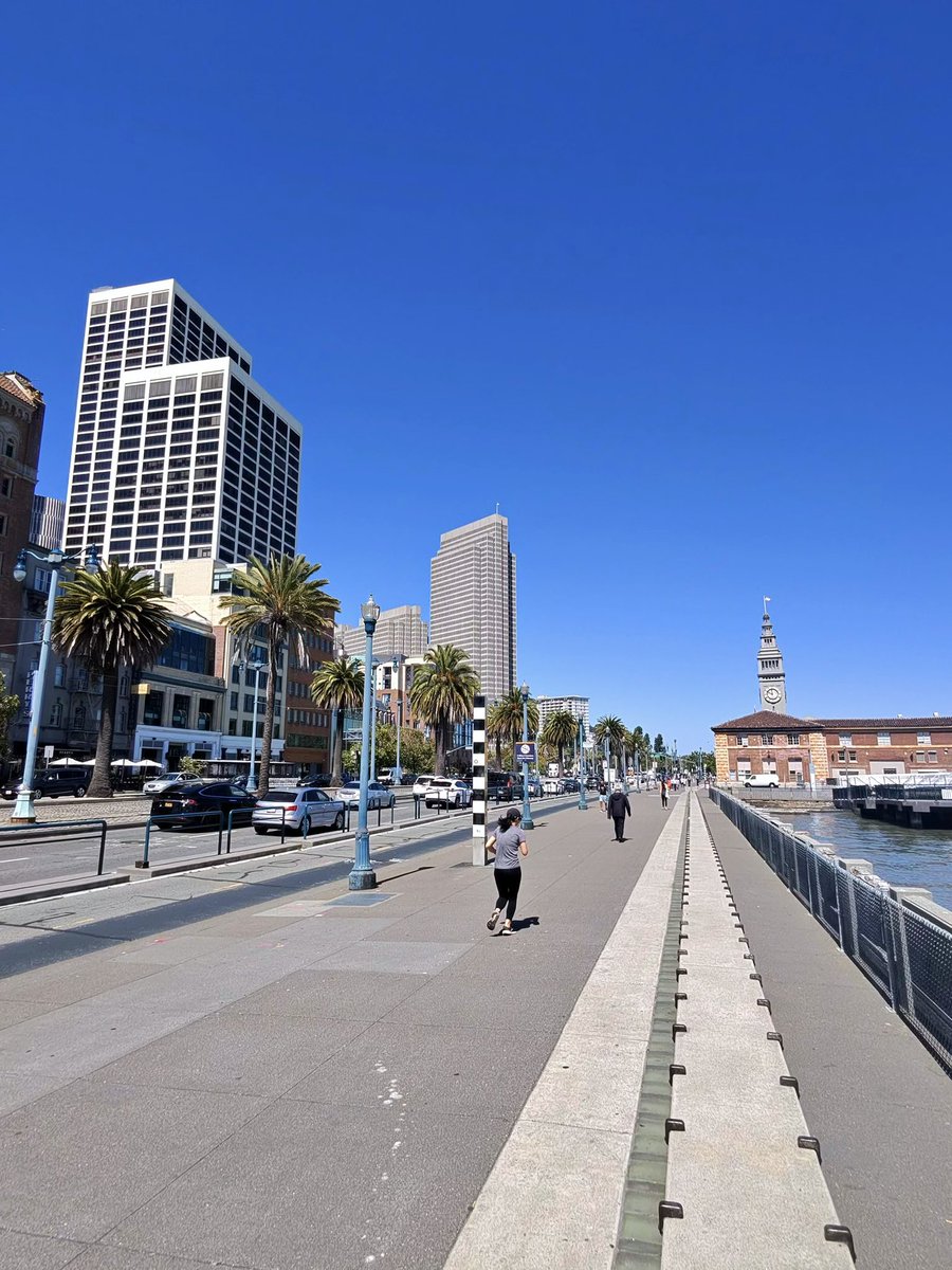 Just another gorgeous day in San Francisco 👍