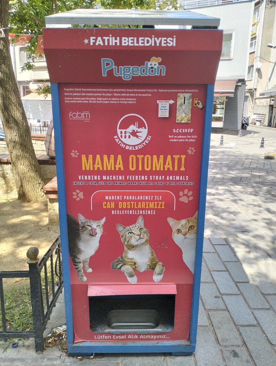 GatoEntropico's tweet photo. En Estambul hay máquinas para comprar comida para los gatos callejeros. No me puede gustar más esto ✨ https://t.co/PE1sbNEp9Z