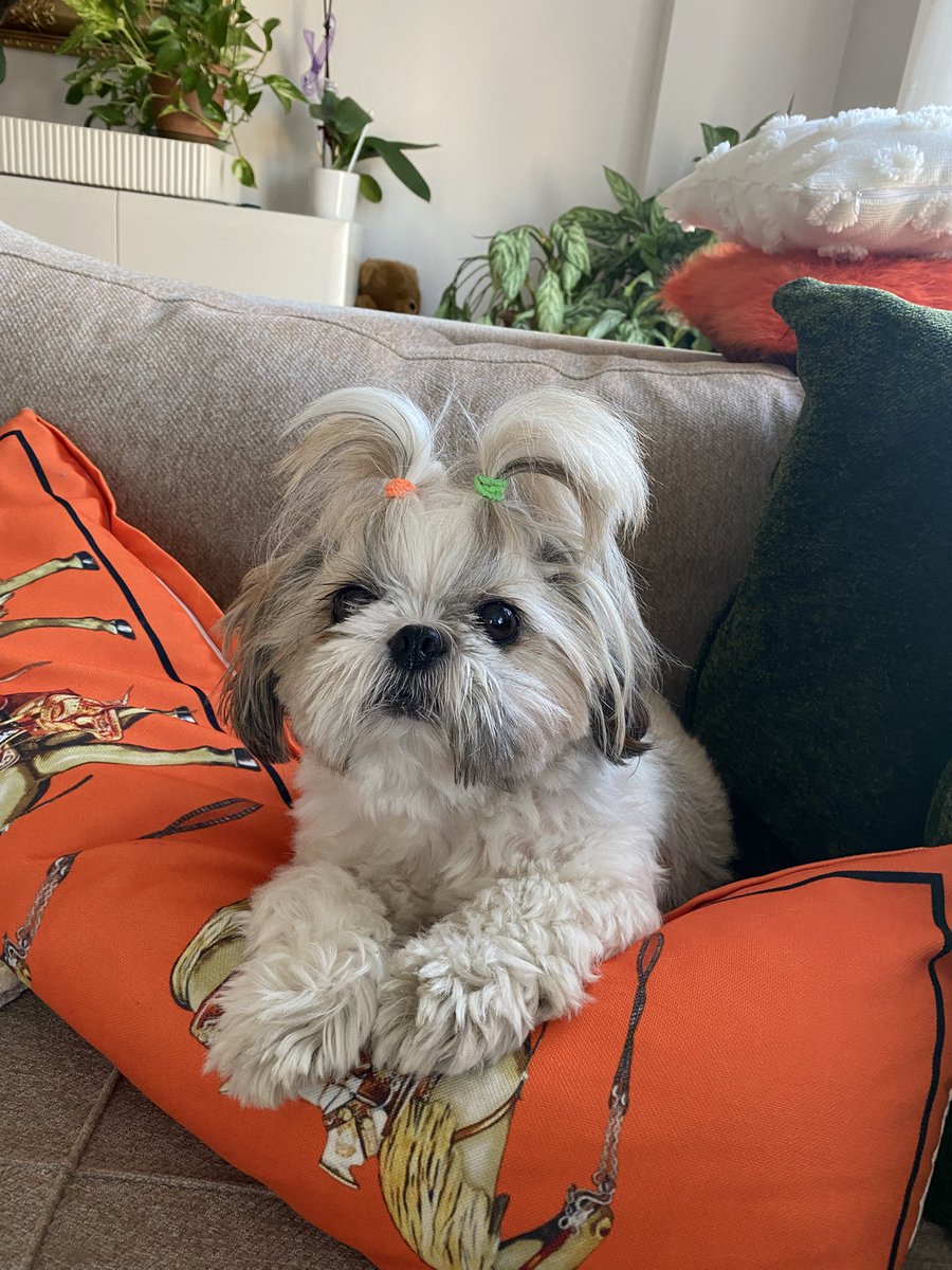 Hergün hergünde bu kadar tatlı olunmazki zeytin gözlüm benim ❤️😎🩷🫶🏻