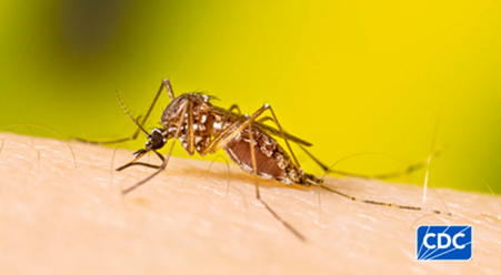 Traveling to some destinations may put you at a higher risk for mosquito-borne diseases like dengue, chikungunya, malaria, and yellow fever. Support World Mosquito Day, learn how to prevent mosquito bites during and after your travel adventures: bit.ly/4cBp8qF