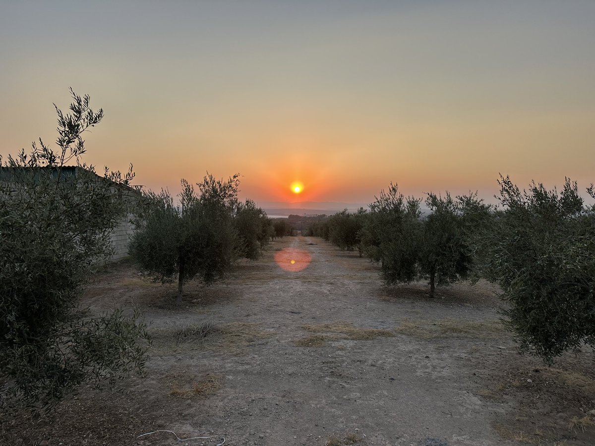 SinergiaMetal_'s tweet photo. #AtardeceresVillafontenses https://t.co/Z65IZ4Txnt