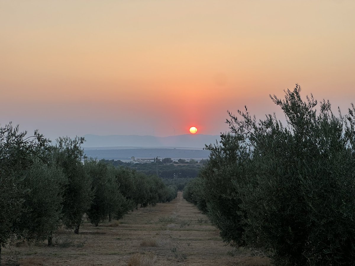 SinergiaMetal_'s tweet photo. #AtardeceresVillafontenses https://t.co/Z65IZ4Txnt