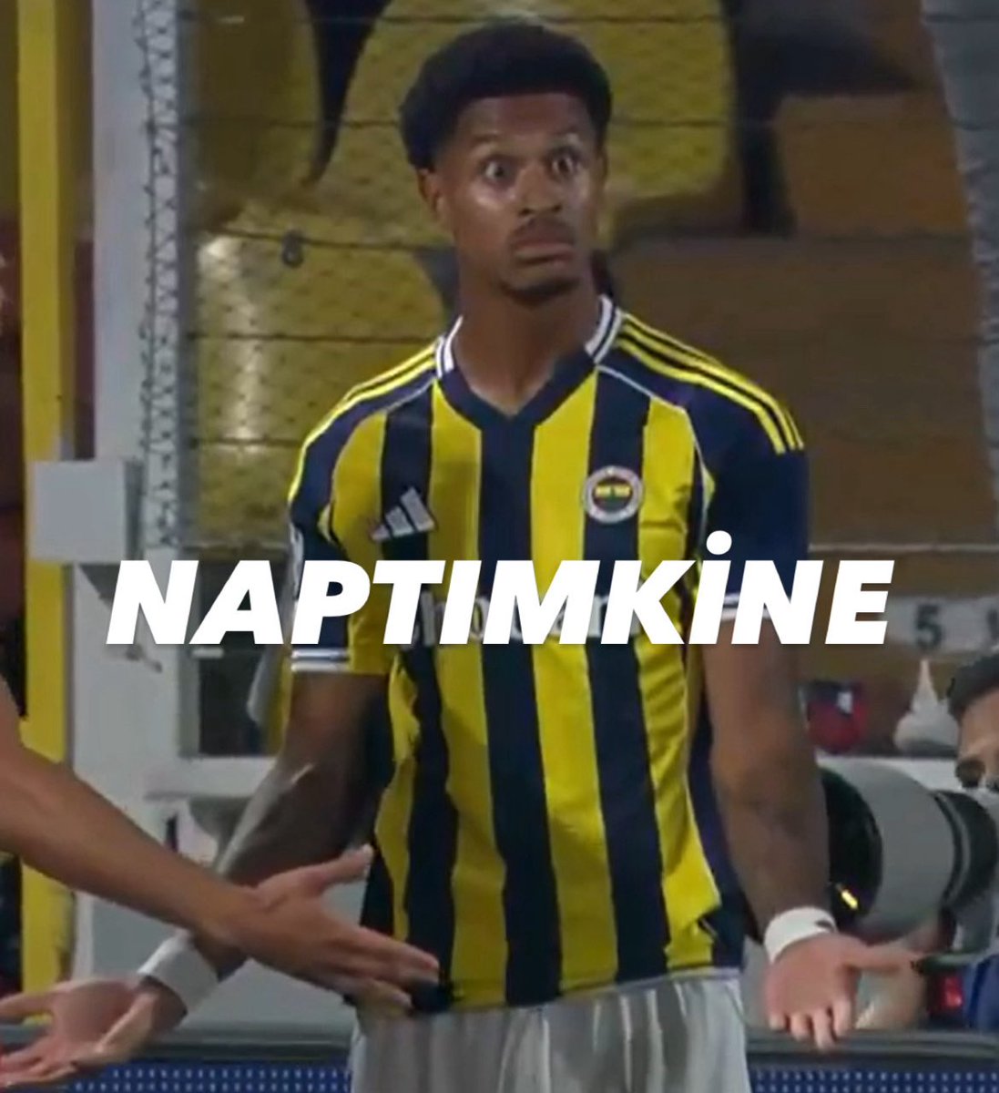 yeni memelerimiz hayirli olsun