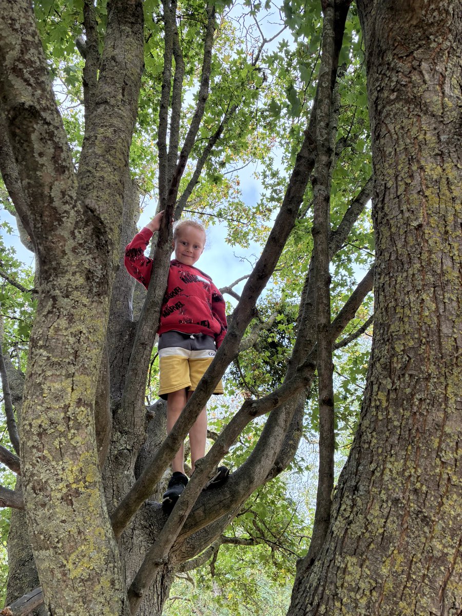 Play_Glos's tweet photo. Reflecting on the magic of climbing trees and mastering the slack line in recent weeks

Instead of saying ‘be careful’, we give children the knowledge to climb safely so they can build their expertise 🌳 

@TNLComFund #P2N2 #ChildLedPlay #ItAllStartsWithPlay #RepetitionAndMastery https://t.co/XOtUkJxIJT