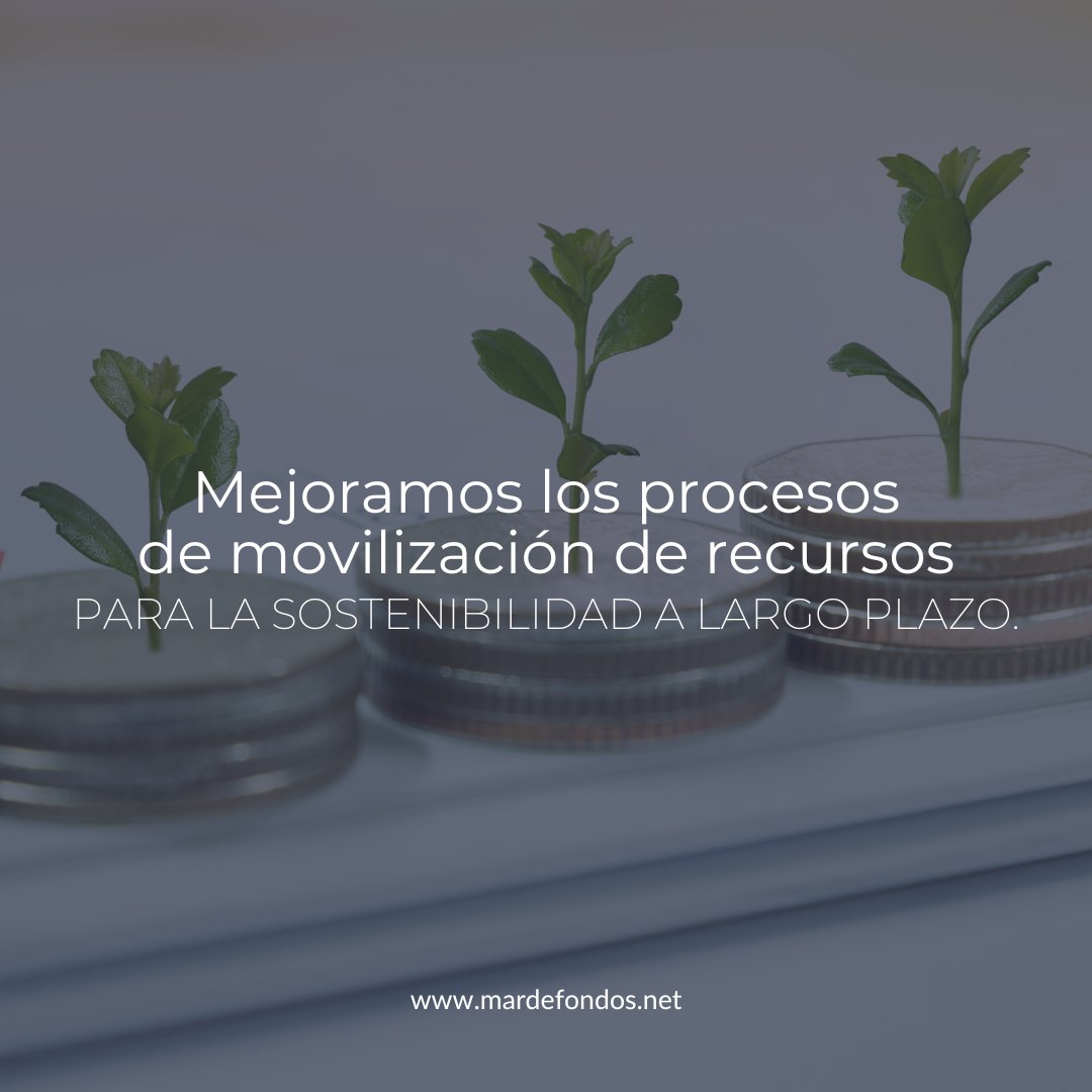 Mar de Fondos® tweet media