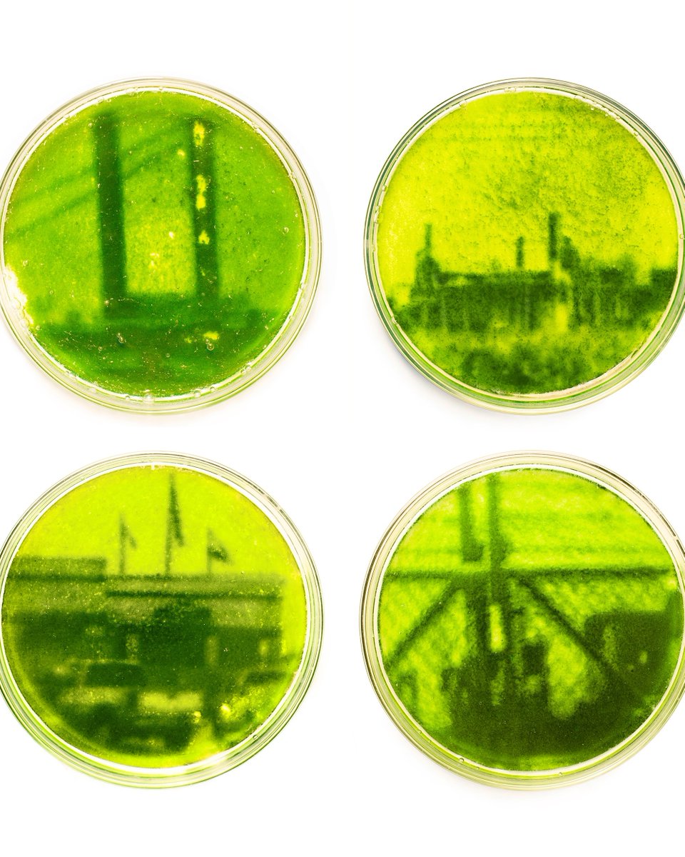 Satellite scans. Soil samples. Industrial production. Kari Varner’s art portfolio asks how we come to value altered environments. Part fieldwork, part memory, her portfolio is now on view in Publab 2025. larbpublab.org/2025/07/24/kar…