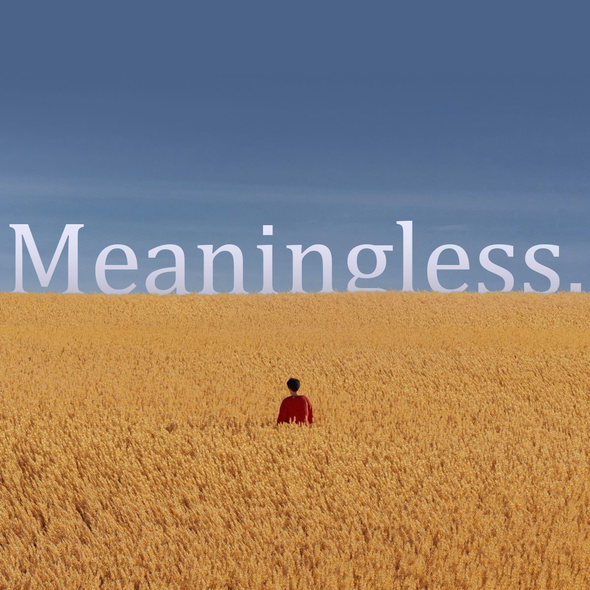 Meaningless tweet media