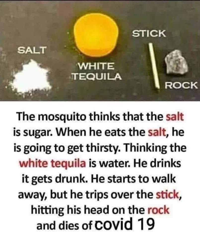 toobaffled's tweet photo. How to Kill Mosquitoes 🦟 https://t.co/qBsCnC9PyF
