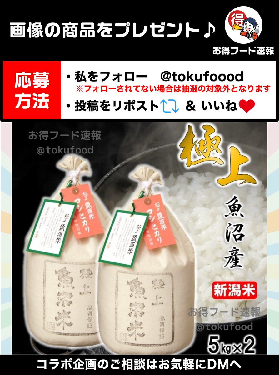 tokufoood's tweet photo. ／
魚沼産コシヒカリ10kgをプレゼント💫
＼

収穫時期の気候条件が良く、特に美味しいお米が育つため、多くのファンに支持されています！

📣応募方法
✅私をフォロー
✅この投稿RP🔁&amp;いいね❤️
※当選でDM📩
※複数垢参加🆖

⏰締切
8月24日23時59分 https://t.co/0SN0YpMhgn