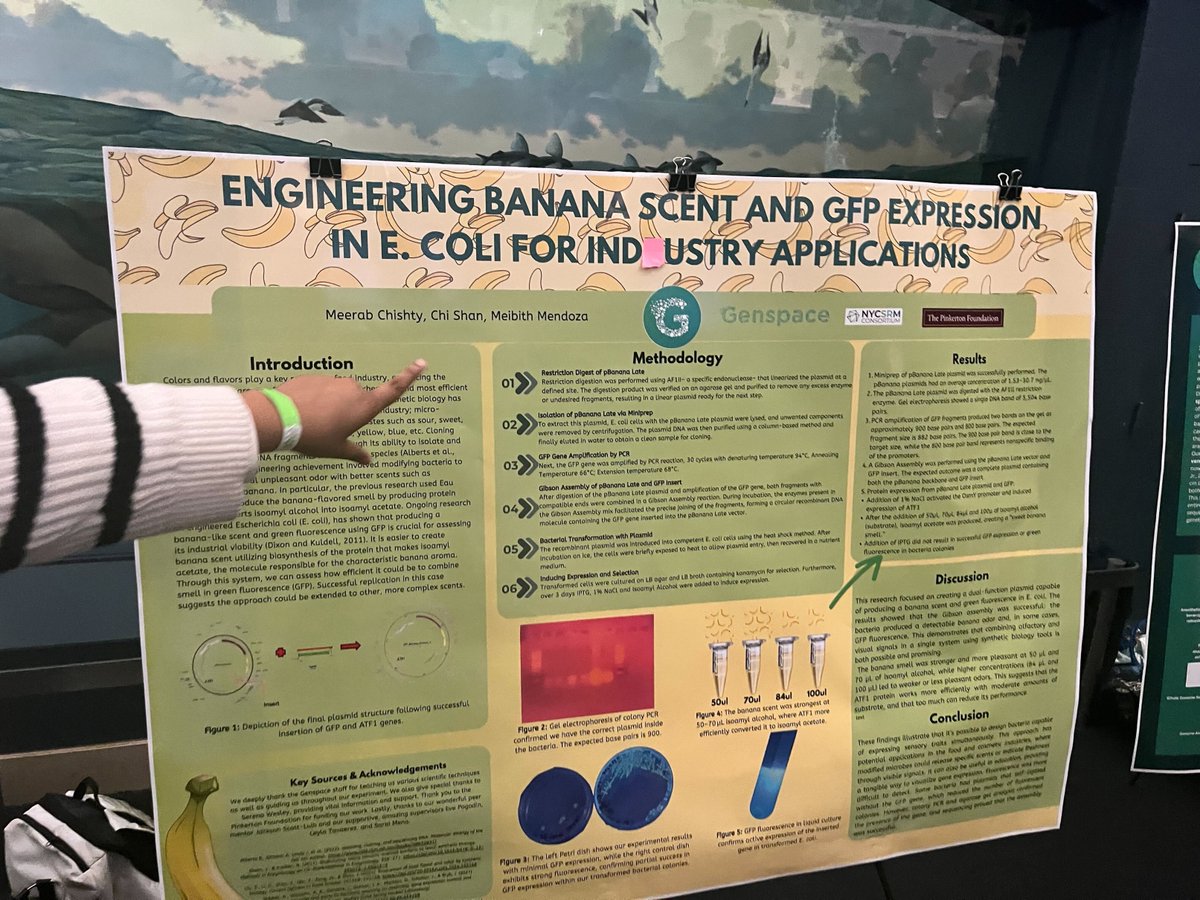 We’re so proud of our incredible interns and company partners who joined the NYC Science Research Mentoring Consortium’s Annual Student Research Symposium at the American Museum of Natural History last week!

Huge congratulations to all the students for this amazing achievement!