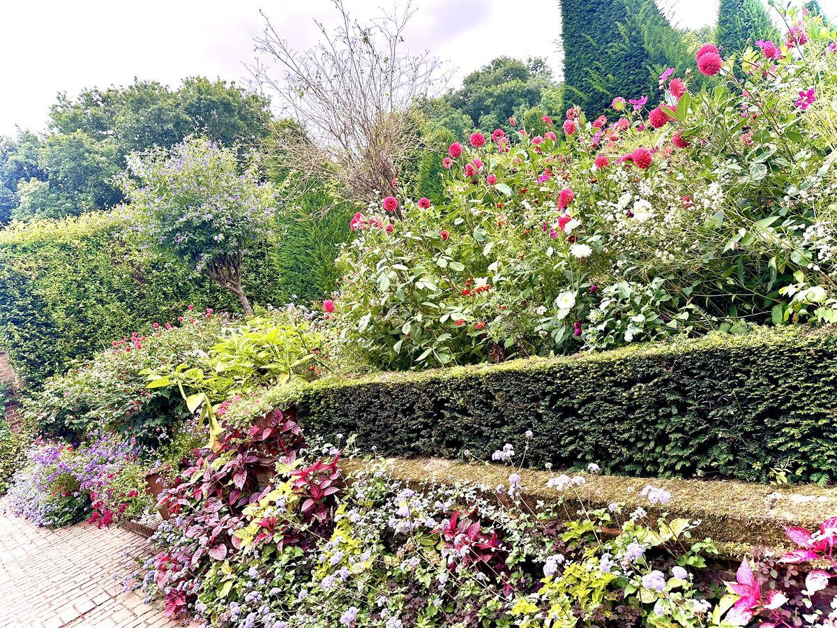 Wrights Coaches of North Norfolk 💛 tweet media