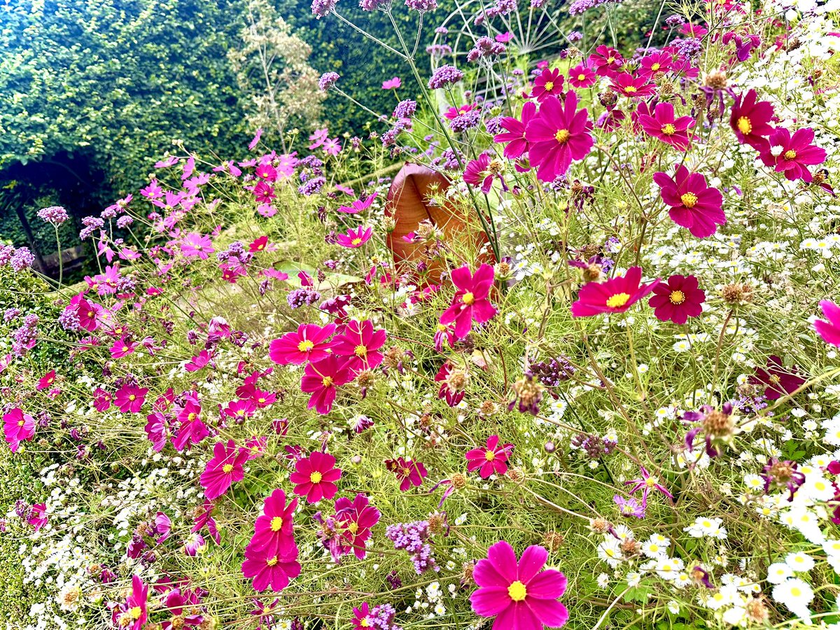 Wrights Coaches of North Norfolk 💛 tweet media