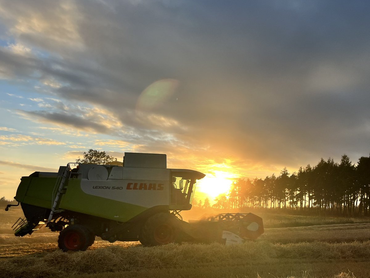 fleurrbie's tweet image. A cracking night for combining 🌾🧡
A surprisingly large bout of straw for
the droughty year we’ve had 😳
#springbarley
#harvest2025 
#Angus
@ClarksonsFarm1