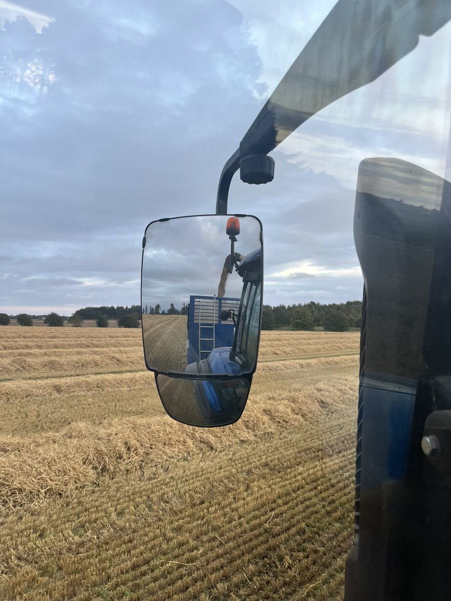 fleurrbie's tweet image. A cracking night for combining 🌾🧡
A surprisingly large bout of straw for
the droughty year we’ve had 😳
#springbarley
#harvest2025 
#Angus
@ClarksonsFarm1