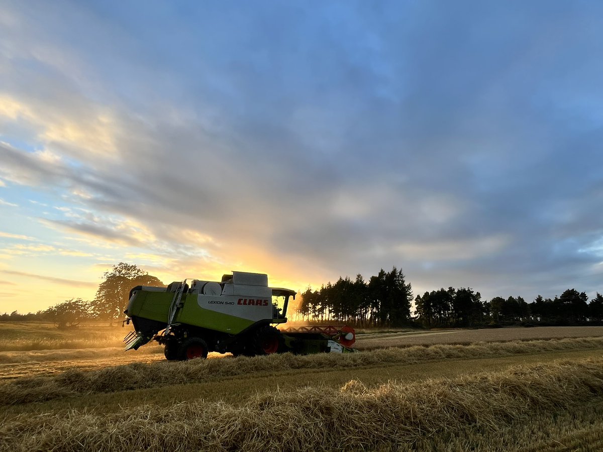 fleurrbie's tweet image. A cracking night for combining 🌾🧡
A surprisingly large bout of straw for
the droughty year we’ve had 😳
#springbarley
#harvest2025 
#Angus
@ClarksonsFarm1