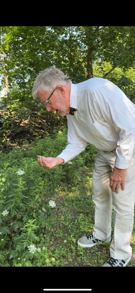 John Chungus tweet media