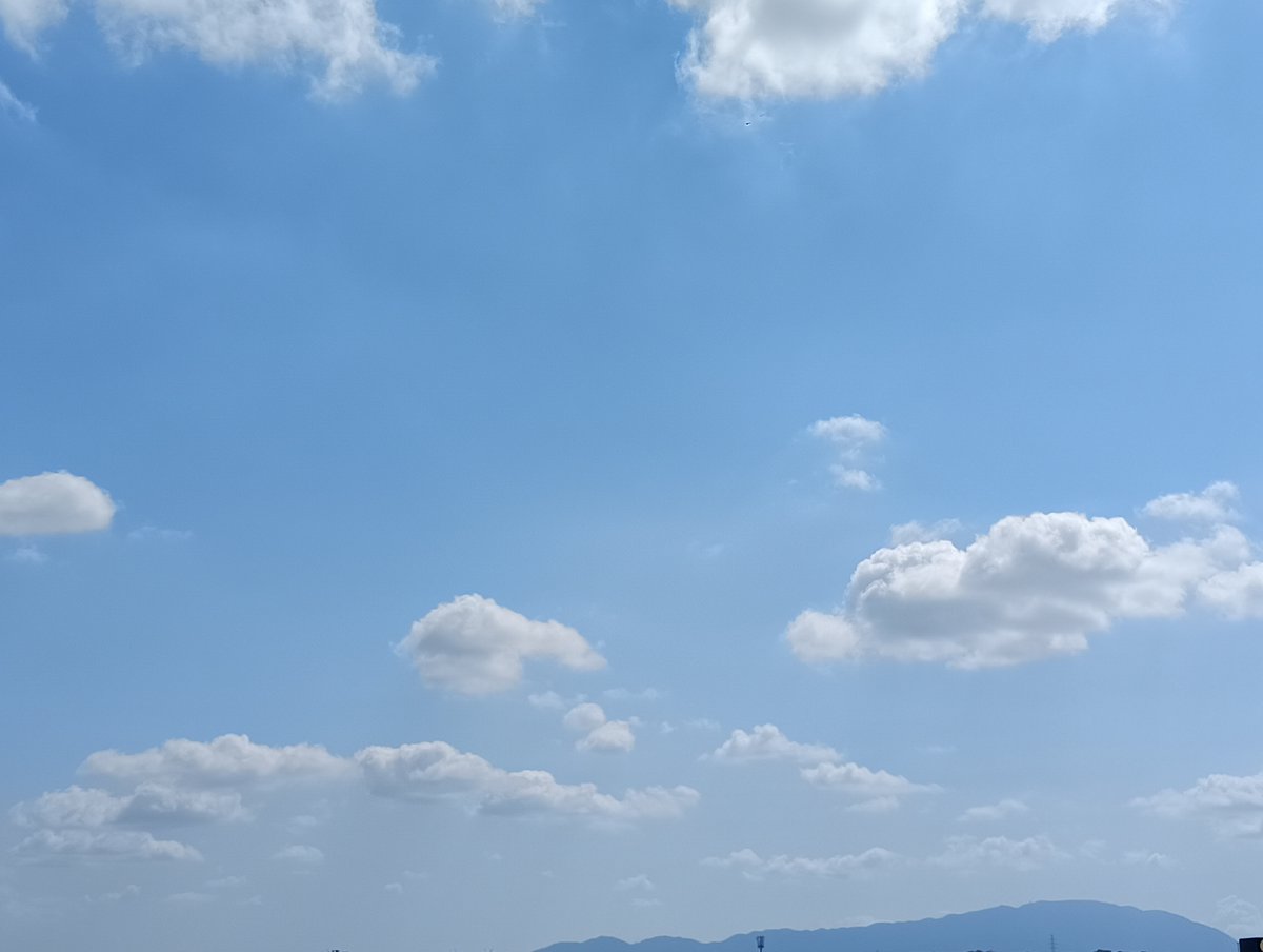おはよ～🌺☕🌞

8月21日(木)大阪🌤朝4時の気温28℃
気温36/28℃、降水確率30%
熱中症情報は　危険⚠
こまめな塩分･水分補給を忘れずに🥤

35℃超えの猛暑はしばらく続きそう🥵
今日も無理せずに　ゆるふぁいでGO✌

🌈皆様ご安全に素敵なよい一日を🌻

#イマソラ　#カコソラ