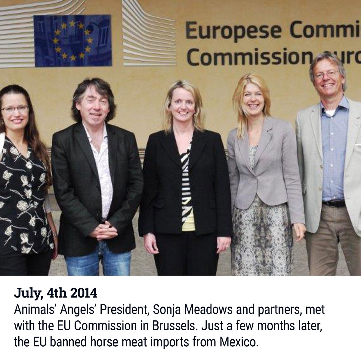 Animals Angels tweet media