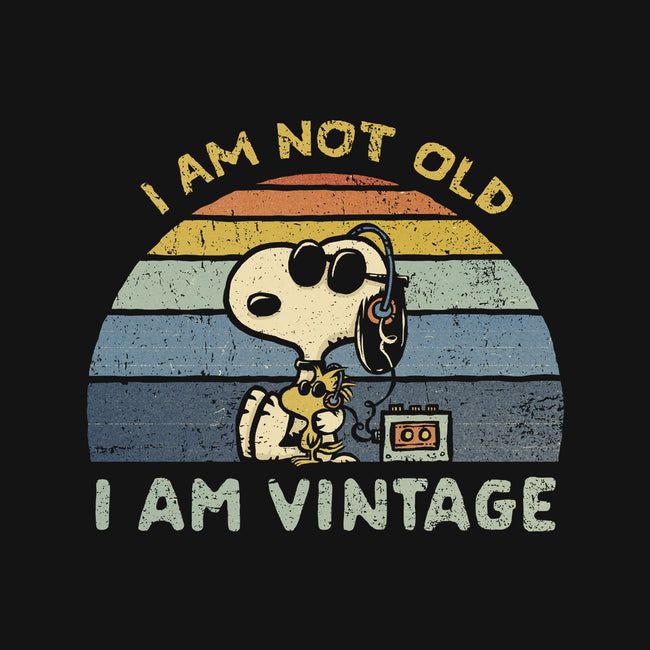 snoopyb047's tweet photo. Love this vintage snoopy https://t.co/Irbts2qIrP