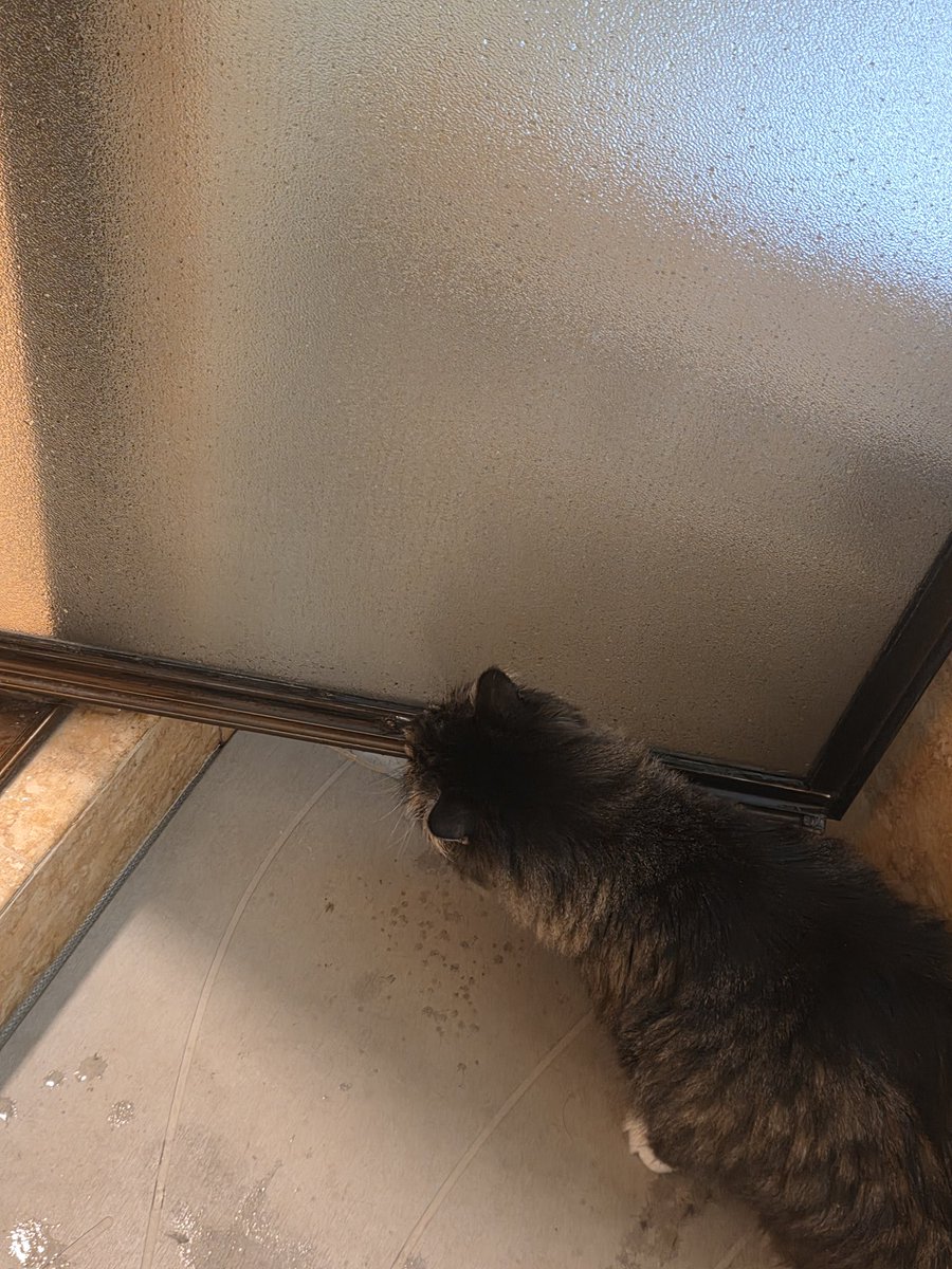 FightinCowboy tweet media