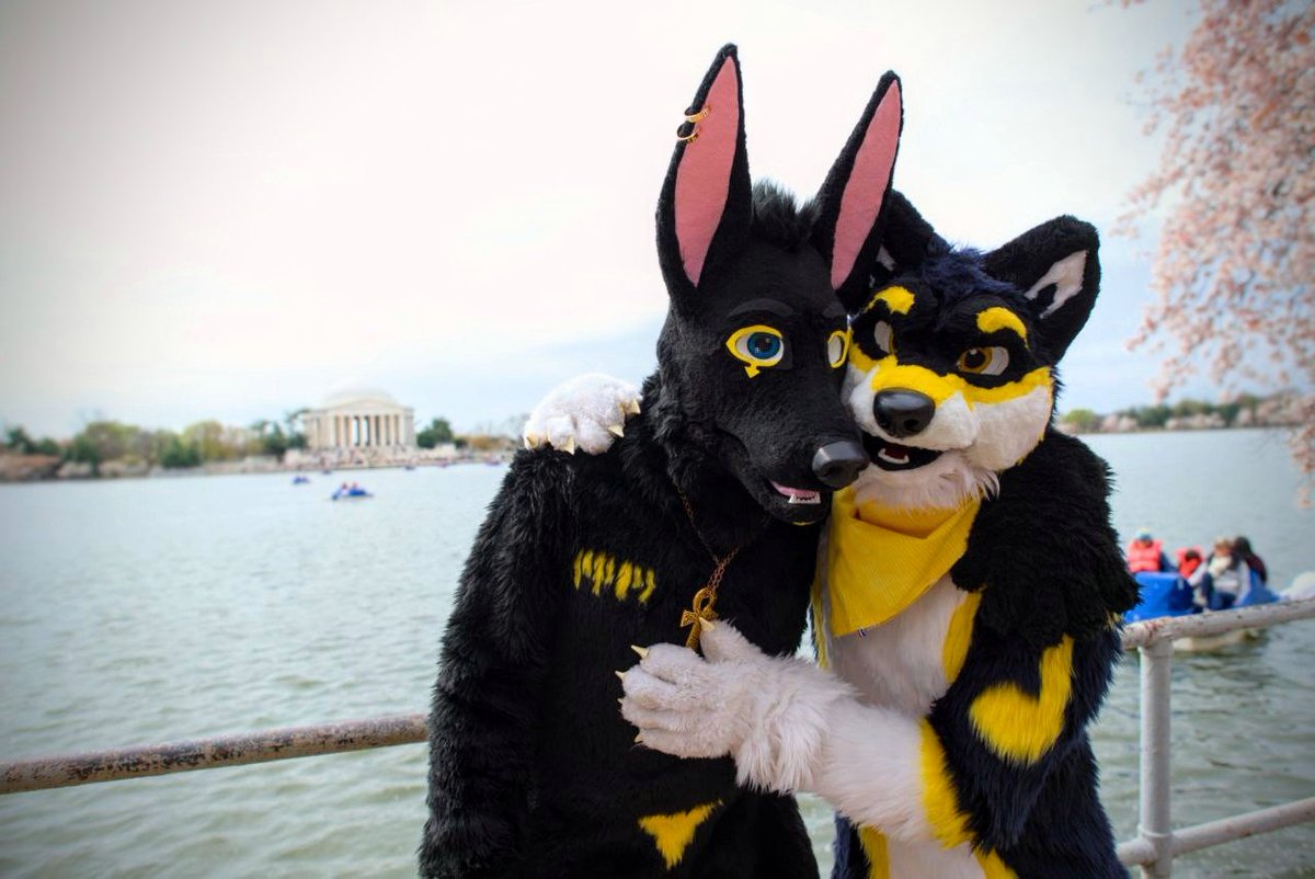 Through high places and in low spaces, you are my best friend <a href="/WolfClef/">Clef Wolf 𝄋</a>  🥰