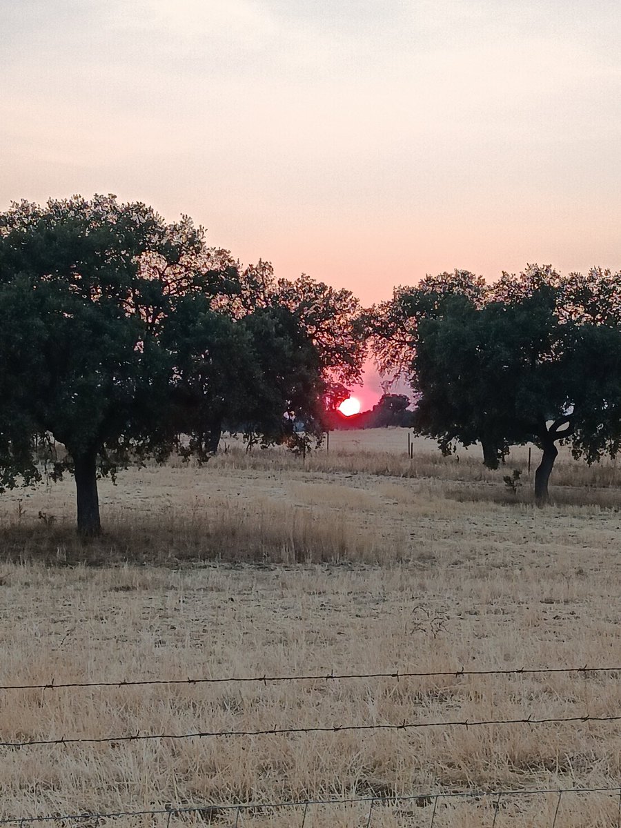 Juanerpf's tweet photo. La esencia de la patria está en los pueblos.

#Pueblo
#Extremadura https://t.co/V0MEuy4eZP