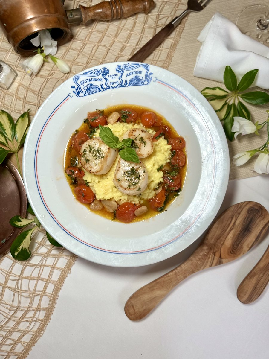 AntoinesNOLA's tweet photo. Do not miss our #ScallopsToulon!!!

Heirloom Tomatoes. White Wine and Lemon Broth. Basil Oil. #Risotto Milanese. It's as delicious as it is beautiful!!!

Available as a second course on our @visitneworleans #COOLinary Dinner Menu. #Reservations recommended. Walk-ins welcome. https://t.co/yfq1Hlo4wL