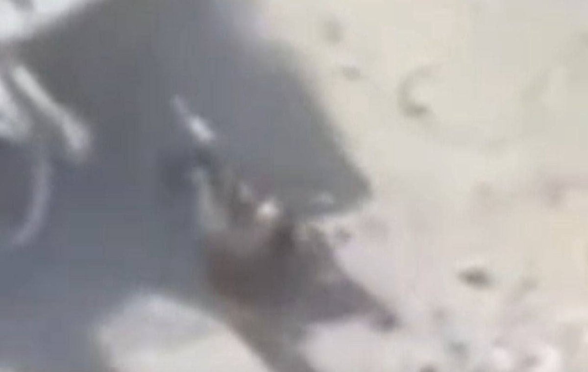 المقاتل البطل كان جريح وكاد ان يصيب الدبابه  ومن كبر خوفهم داسوه بالدبابة ماقدروا ياخذوه اسير.

ويجي كلب عميل عربي تابع للسعودية او الامارات او اذنابهم يتحدثون عن هؤلاء المجاهدين الابطال.