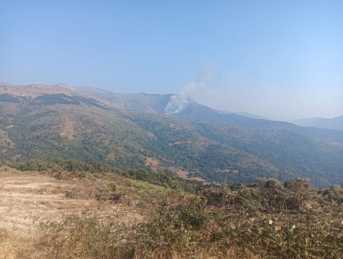 🟥 ACTUALIZACIÓN | #IFJarilla

👉Buena jornada para el frente en Salamanca: se quemaron los parajes de La Jara y El Solanillo por el fuego técnico de las últimas horas. No hay avance y el incendio sigue muy lejos de Candelario

👉Mejora el frente de La Garganta esta tarde