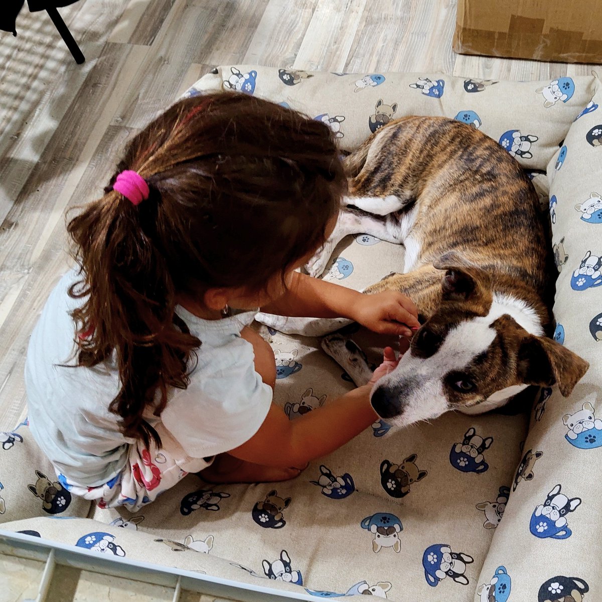 Perdi la figlia e la ritrovi così ❤️