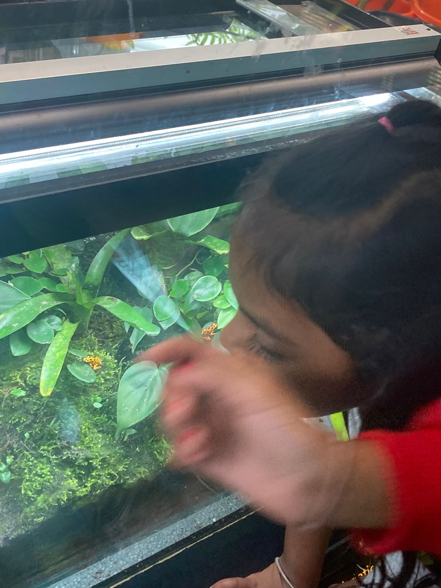 SurpriseRainbow's tweet photo. Today everyone had an amazing day at @Manchestermuseum . Great day out. 
mcractive@MCRactiveHA @ManCityCouncil #MCRHA #HAF2025 https://t.co/5ScQe81SKd