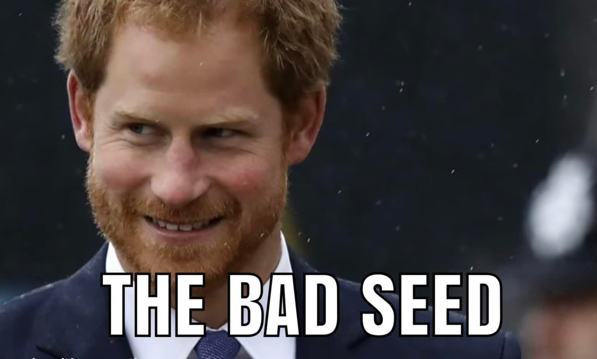 Sapienta4's tweet photo. Prince Harry" and his ghastly oik ( #ElderAbusers ) must *know* it's going to be a different ball game when HRH William, PoW takes the reins. He didn't know he loved being royal until ... he wasn't.
Out of left field granted, but my idle question is: Did Fredo Corleone know? https://t.co/xDWhz2SOwp