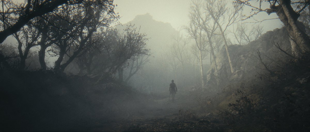 Hellblade 2

#VirtualPhotography #Hellblade2