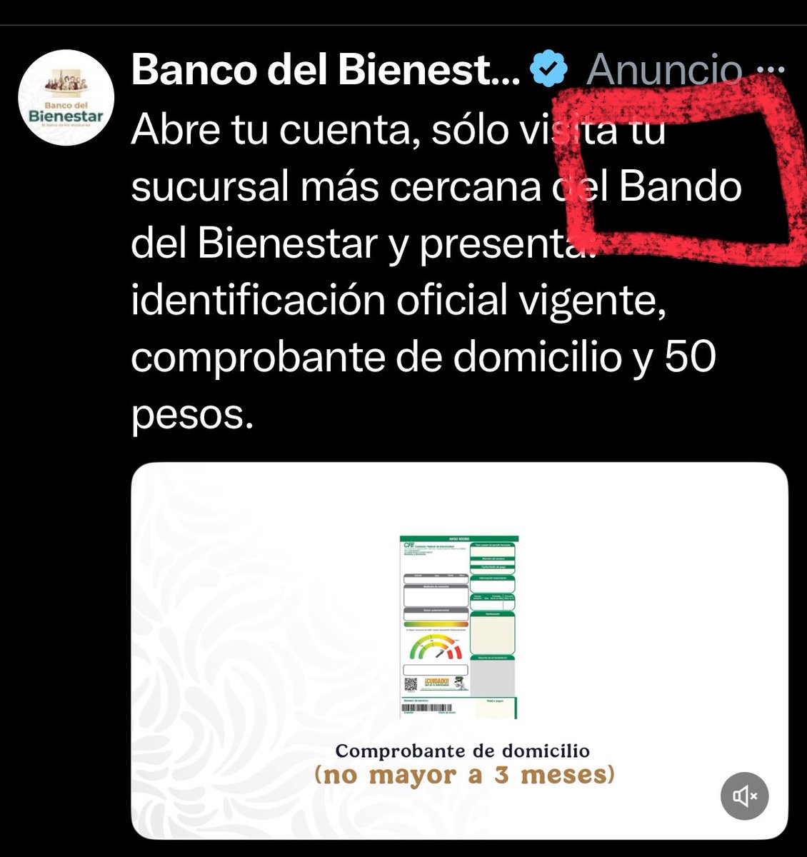 Pepe Casas tweet media