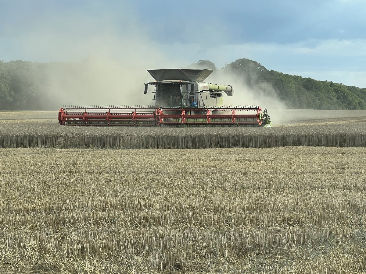 James Ledger (@litmon_ltd) on Twitter photo Due to finish harvest mid afternoon tomorrow <a href="/paddytt2/">Trevor Tyrrell</a>, did you want me to send you a pin location for the <a href="/Pxfarms/">James S. Peck</a> flag and champagne treatment or do you find us using <a href="/CLAAS_UK/">CLAASUK</a> connect? Due to finish harvest mid afternoon tomorrow <a href="/paddytt2/">Trevor Tyrrell</a>, did you want me to send you a pin location for the <a href="/Pxfarms/">James S. Peck</a> flag and champagne treatment or do you find us using <a href="/CLAAS_UK/">CLAASUK</a> connect?