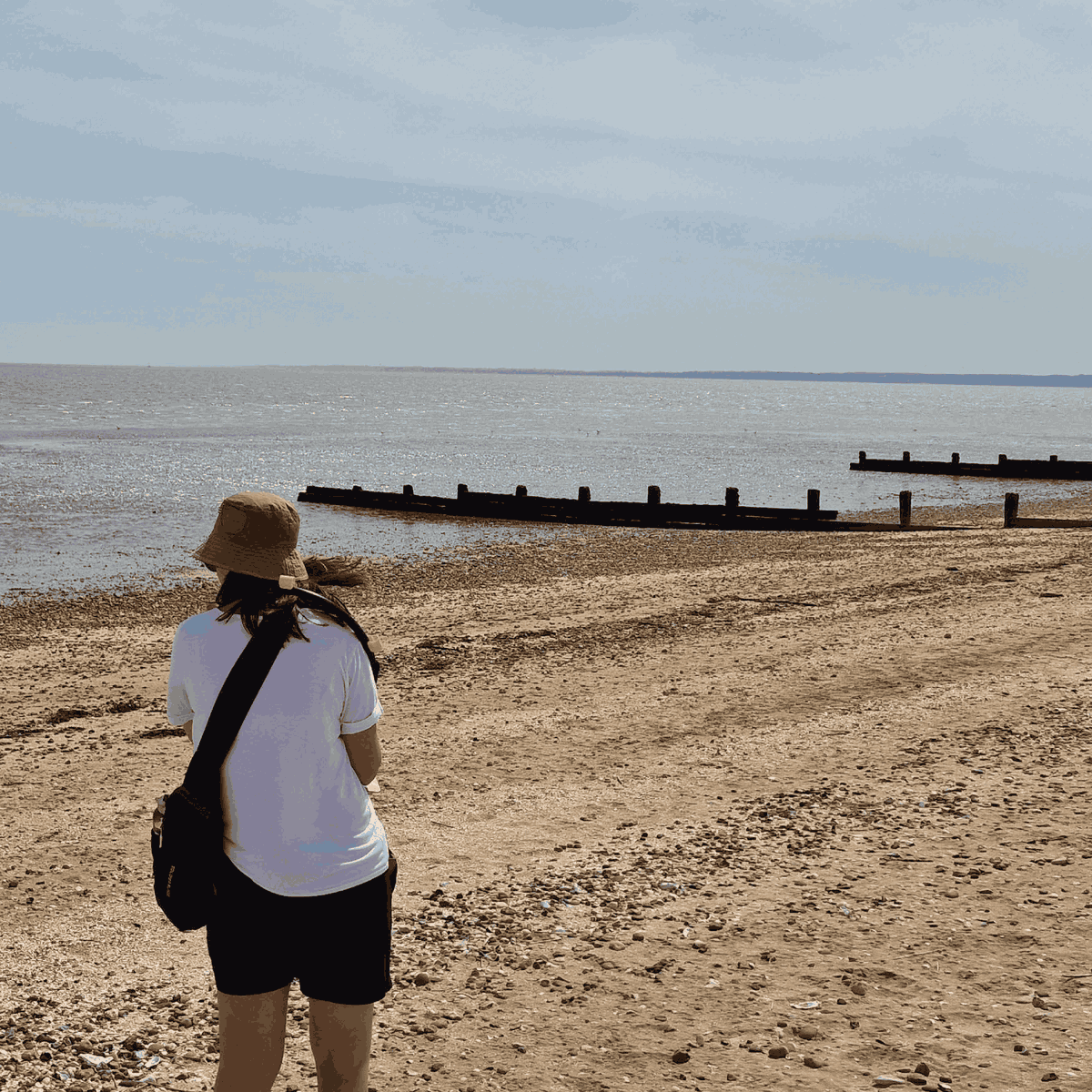 HH Global tweet media